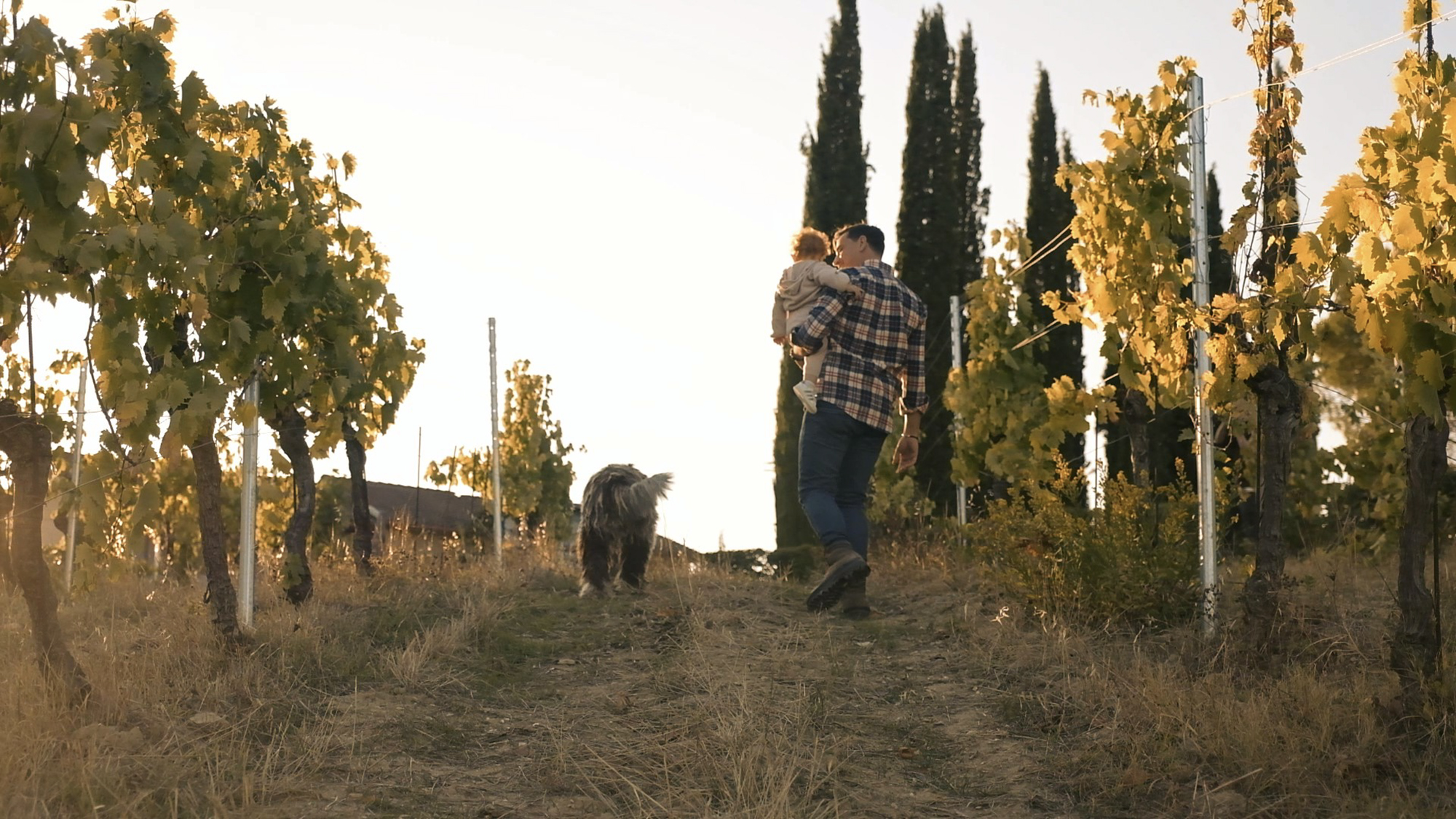 Sunset portrait of Podere La Marronaia owners – father and son captured during commercial video shoot – Tuscany agriturismo photography by Memento Agency