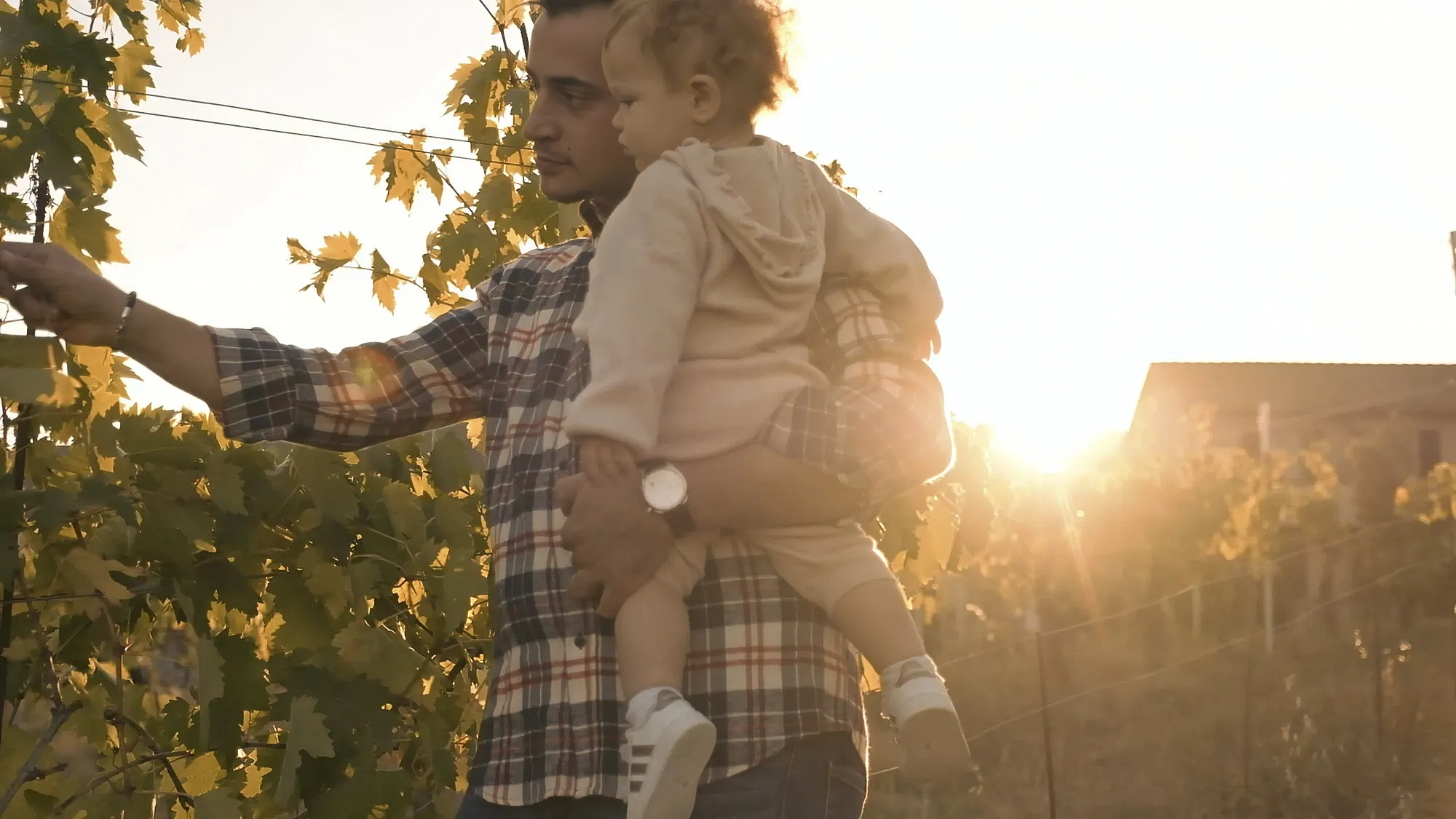 Sunset portrait of Podere La Marronaia owners – father and son captured during commercial video shoot – Tuscany agriturismo photography by Memento Agency