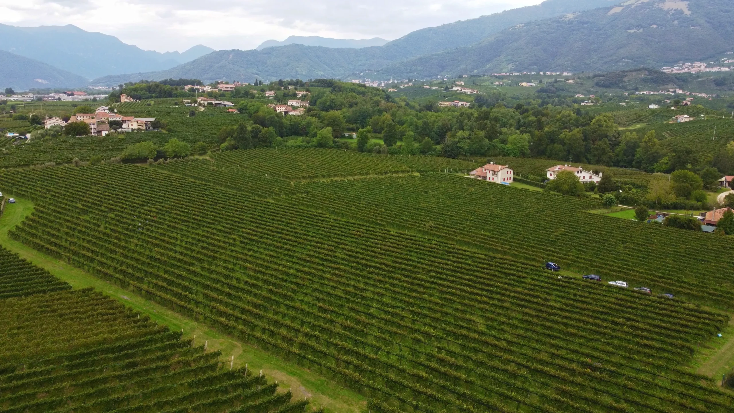 Drone video frame showing the vineyards surrounding Val d'Oca cellars, captured for Kiwitron by Memento Agency – aerial promotional footage of the winery landscape